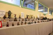 Concorso Picchiatelli premiazioni (9 di 85)